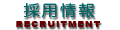 採用情報
